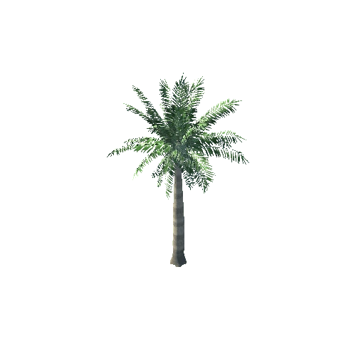 Build Accesory Palm Tree 1